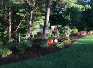 Landscaping Transformation in Clarkston