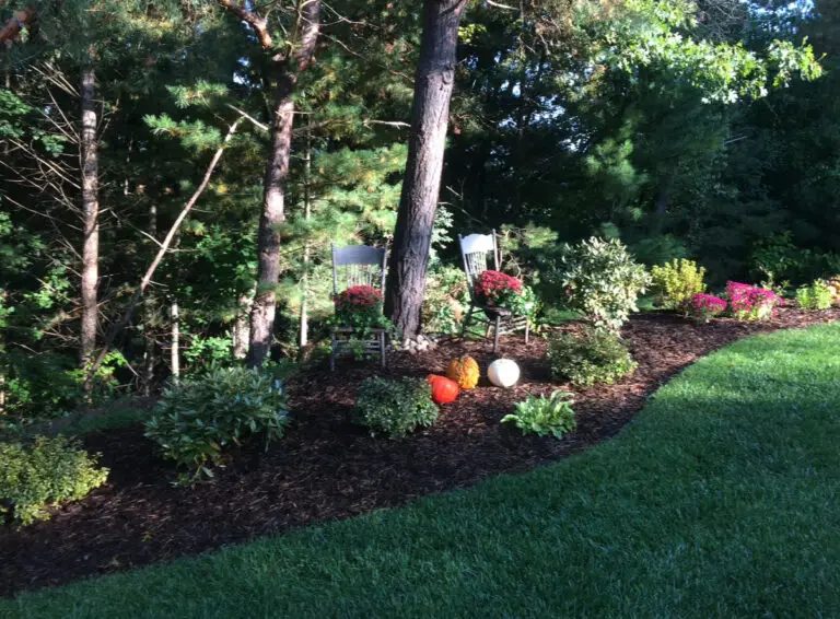 Landscaping Transformation in Clarkston